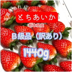 いちご　とちあいか　Ｂ級品　訳あり　まとめ売り　いちごジャム　加工品　ケーキ　新鮮　農家直送　朝摘み