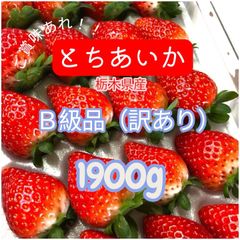 まっちゃん農園の訳ありいちご☆栽培期間中•農薬不使用☆ 箱込み約1kg×3箱 まっちゃん農園の不揃い訳ありいちご☆栽培期間中•農薬不使用☆ 箱込み