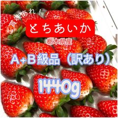 いちご　とちあいか　栃木県産　A級品　B級品　まとめ売り　バラ詰め　農家直送　お得　規格外　新鮮　朝摘み　ケーキ　加工品　ジャム　いちごジャム