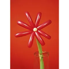 MACAROCK’N LIVE-1 (通常盤) (DVD) (特典なし) [DVD]