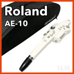 2026年最新】roland ae-10の人気アイテム - メルカリ