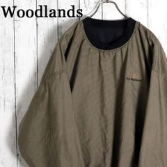 Item thumbnail for item 2c535c17-1d2f-433c-b2e5-78f3231737ed