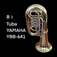 2026年最新】チューバ ハードケース YAMAHAの人気アイテム - メルカリ