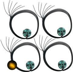 Item thumbnail for item 0e5d3556-4bee-4069-9d9c-92ea51c6b05d