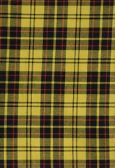 手芸・ハンドメイド用品 CF13110 col.6 約145cm幅×0.5mカット 広幅ロイヤルタータンチェック 生地 NASKA