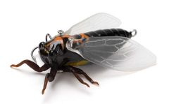 Item thumbnail for item d2cf53a9-716c-4ccc-a0a1-6e4a71be86ba