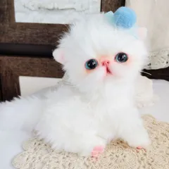 幼猫♡子猫ノアちゃん♡エキゾチック♡アートドール♡ぬいぐるみ♡