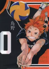 【中古】クリアファイル 日向翔陽 特製クリアファイル 「ハイキュー!!」 ジャンプGIGA 2018 SUMMER vol.2 抽選プレゼント 当選品