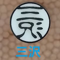 Item thumbnail for item 256c10cf-378b-4049-88e5-1cdd737dd895