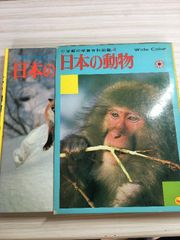 セール】旺文社学習図鑑 鳥（5）昭和レトロ図鑑（外カバー付き
