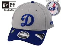 NEWERA ニューエラ 9FORTY MLB25 LOS ANGELES DODGERS BATTING PRACTICE M-CROWN CAP GREY/ROYAL ストレッチキャップ ロサンゼルス ドジャース グレー/ロイヤル 22738