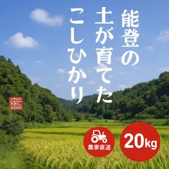 超メルカリ市限定！栃木のお米！ゆうだい21♡20kg - メルカリ