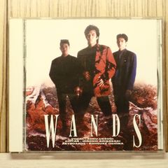 WANDS 下敷き(上杉昇) - メルカリ
