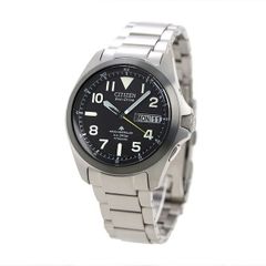 Item thumbnail for item 273caefe-79bb-468b-8b09-7d93bc9dbb13