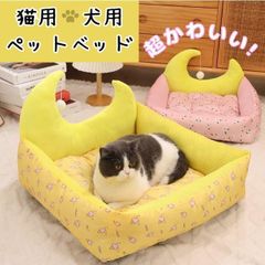 Item thumbnail for item 5c1c57e6-f41a-4fe1-aec5-2b91e1cfd1b7