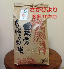 シェリオン様専用⭐️完全無農薬新潟産 コシヒカリ 白米10kg - メルカリ