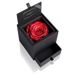 Item thumbnail for item 9a58501a-5bf4-4fe7-8711-9e12ca2a2208