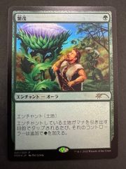 MTG 崇高な工匠、サヒーリ アーティストプルーフ AP 百瀬寿 MTG 崇高な工匠、サヒーリ アーティストプルーフ AP 百瀬寿 MTG 崇高な