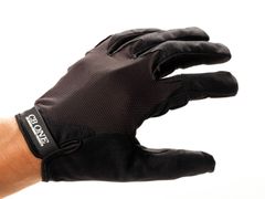 Item thumbnail for item b323f4fd-b785-4859-a321-0e1e66443915