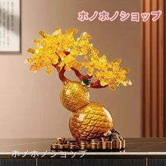 メルカリ市セール。大切に20年ちかく育てた金のなる木 メルカリ市土日限定セール。大切に20年ちかく育てた金のなる木 - メルカリ