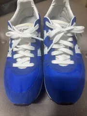 ミズノ スニーカー レディース 245