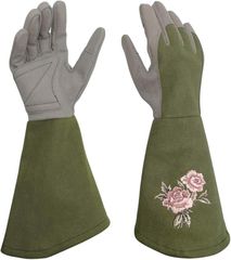 Item thumbnail for item b2ebfe84-155b-45f1-a871-4188cf6b9896