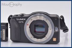 ✨ショット数247回✨Panasonic GF5 ボディ 動作確認済み 自撮り - メルカリ