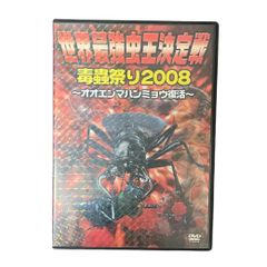 中古CD】大森靖子 マジックミラー / さっちゃんのセクシーカレー CD +