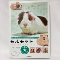 Item thumbnail for item bbc0e206-7d64-4952-b409-f030183a6cd3