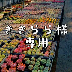 ききらら様専用