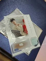 SEVENTEEN(セブンティーン・セブチ) ミンギュ(MINGYU) あいのちから アクリルスタンド