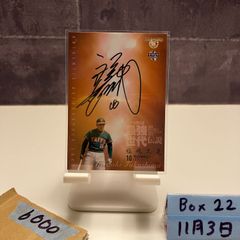 ☆超激レア☆1977年大洋ホエールズファンブックイヤーブック川崎時代
