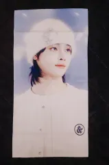 アンドチーム ニコラス スローガン 出品