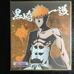 BLEACH 黒崎一護 色紙 webくじ ブリーチ