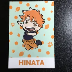 ハイキュー!! 日向翔陽 東武動物公園 ポストカード