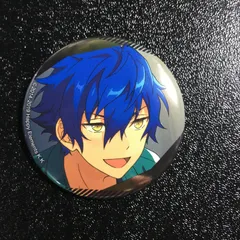 あんさんぶるスターズ! 漣 ジュン 缶バッジ あんスタ