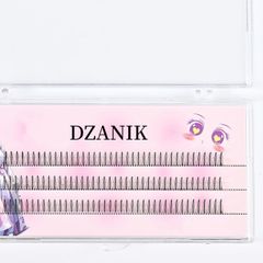 Item thumbnail for item 58891c0a-02fc-4083-90aa-c80bd98f9925