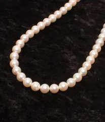 ネックレス SV パール 6.5-7.0mm レディース