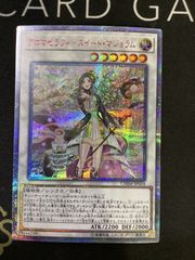 遊戯王】 アロマセラフィースイートマジョラム 20thシークレット