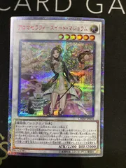 2026年最新】マジョラム 20thの人気アイテム - メルカリ