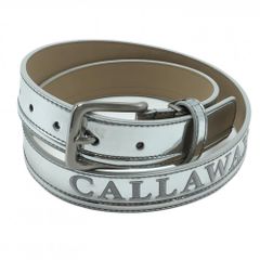 Item thumbnail for item bec9800d-a2d3-448d-876f-6ba2d007c47f