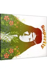 CD／Superfly／【CD+DVD】Superfly