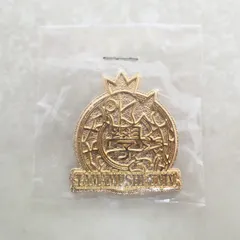 2026年最新】タマムシ大学コイキングの人気アイテム - メルカリ