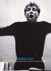 Leonard Bernstein DVD BOX 美品！ - メルカリ