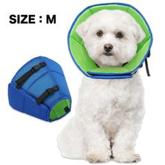 Item thumbnail for item 1c4d5538-71ba-4da5-8387-659f1e16c595