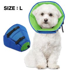 Item thumbnail for item 4cc9faec-1eee-4a51-b569-2769239551ac