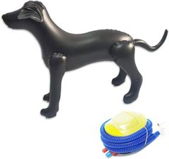 Item thumbnail for item 11be3581-e20f-41c3-88f9-708ad87821d9