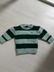 ブルードッグ グリーン ストライプ ニット