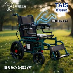 パラマウントベッド 電動 介護ベッド TS3060 プレグラーマットレス付き