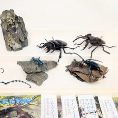 2026年最新】原色日本昆虫図鑑の人気アイテム - メルカリ